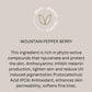 M+N+O - 3 Active Extracts Phyto-Cellular Serum