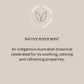 M+N+O - 3 Active Extracts Phyto-Cellular Serum